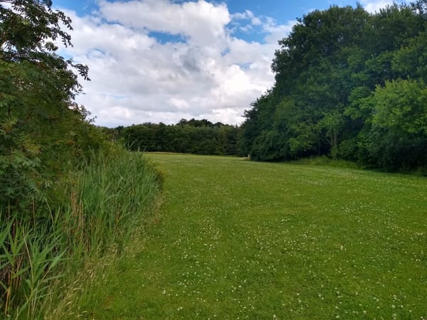 Rawcliffe Bar Country Park