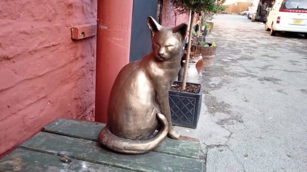 The York Cat Trail