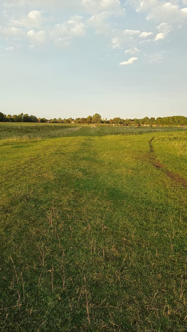 Hob Moor