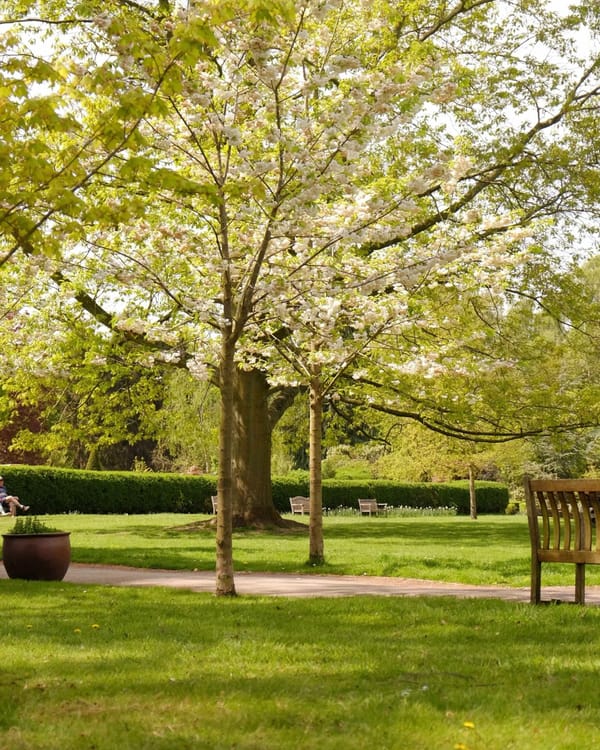 Homestead Park