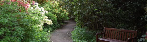 Moorlands Nature Reserve